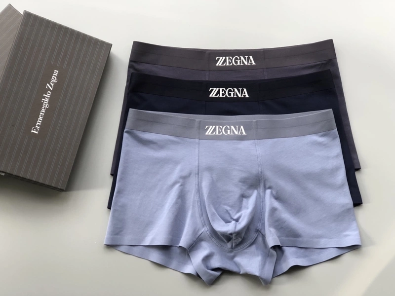 Sophisticated Zegna Underwear 276714