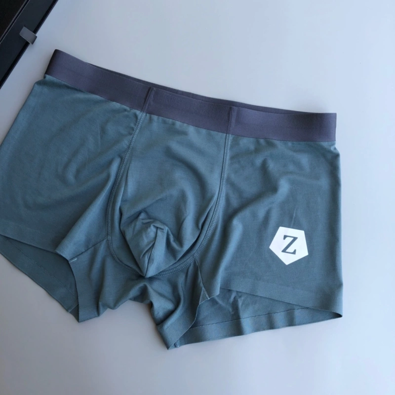 Zegna Underwear FreshLook 276178