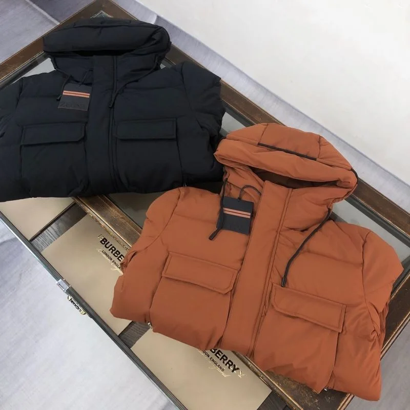 Zegne Down Jackets Trendy 164648